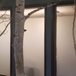 Frosted vinyl window graphics